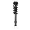 Strut Assembly - image 1