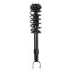 Strut Assembly - image 1