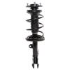 Strut Assembly - image 1