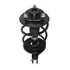 Strut Assembly - image 2