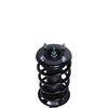 Strut Assembly - image 2