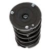 Strut Assembly - image 2