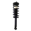 Strut Assembly - image 1