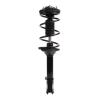Strut Assembly - image 1