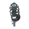 Strut Assembly - image 1