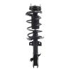 Strut Assembly - image 1