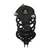 Strut Assembly - image 2