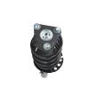 Strut Assembly - image 1