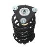 Strut Assembly - image 1