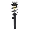 Strut Assembly - image 1