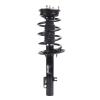 Strut Assembly - image 1