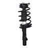 Strut Assembly - image 1