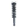 Strut Assembly - image 1