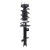 Strut Assembly - image 1