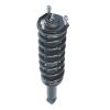 Strut Assembly - image 1