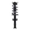 Strut Assembly - image 1