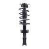 Strut Assembly - image 1