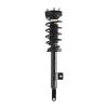 Strut Assembly - image 1