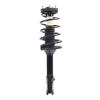 Strut Assembly - image 1