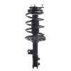 Strut Assembly - image 1