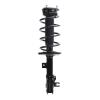 Strut Assembly - image 1