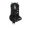 Strut Assembly - image 2