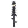 Strut Assembly - image 1