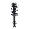 Strut Assembly - image 1