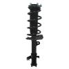 Strut Assembly - image 1