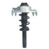 Strut Assembly - image 1