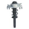 Strut Assembly - image 1