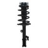 Strut Assembly - image 1