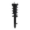 Strut Assembly - image 1