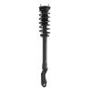 Strut Assembly - image 1