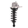 Strut Assembly - image 1