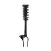 Strut Assembly - image 1