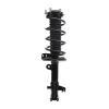 Strut Assembly - image 1