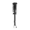 Strut Assembly - image 1