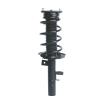 Strut Assembly - image 1