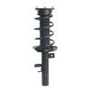 Strut Assembly - image 1