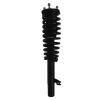 Strut Assembly - image 1