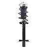 Strut Assembly - image 1