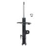 Suspension Strut - image 1