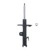 Suspension Strut - image 1