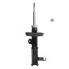 Suspension Strut - image 1
