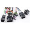 EFI Wiring Harness 1986-1993 GM Camaro, Firebird, Corvette, Full-Size Truck 4.3L, 5.0L, 5.7L, 7.4L V8 - image 3