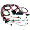 EFI Wiring Harness 2005-06 GM LS2 - image 1