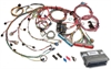 EFI Wiring Harness and ECM for 1999-2006 GM Gen III C/K Truck LS 4.8L, 5.3L, 6.0L [4L80E Transmission] - image 1