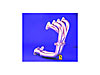Armor Coat Car Header 1994-2000 Integra 1.8L VTEC - image 1