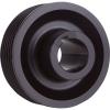 6-Rib 2.62 D/Pulley 05-06 Must GT